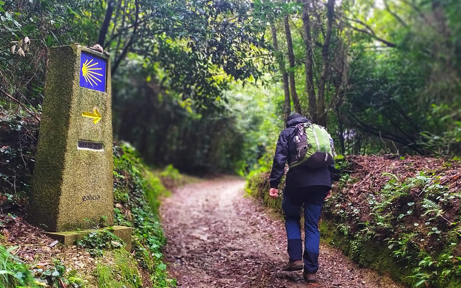 Camino Inglés