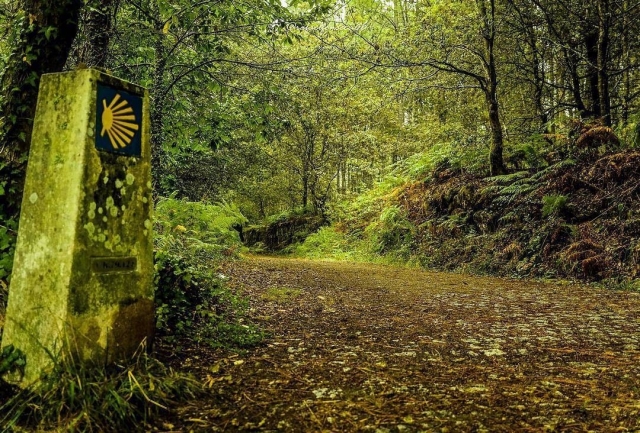 Camino Primitivo